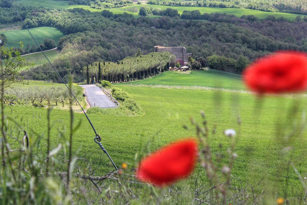 טודי Agriturismo Castello Di Belforte מראה חיצוני תמונה